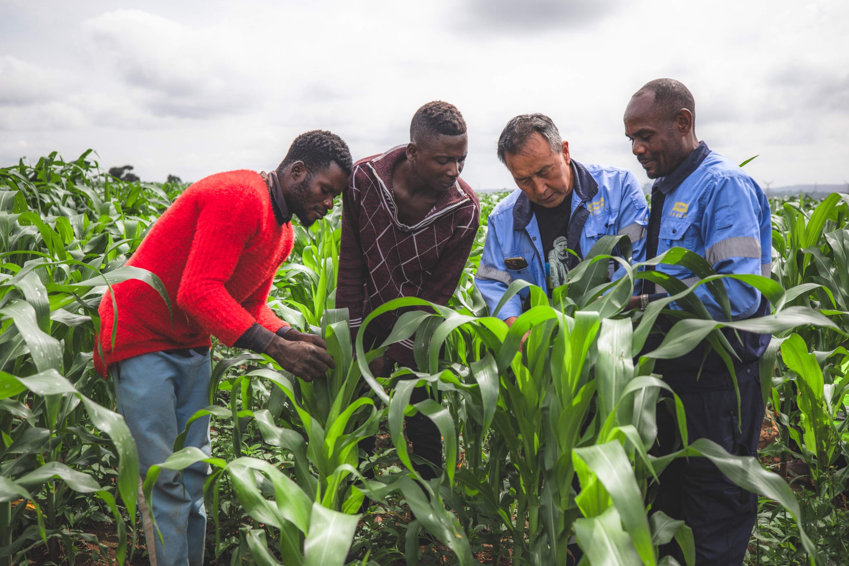 华刚矿业1440万美元打造刚果（金）“示范新农村”实现路通、医达、学有堂